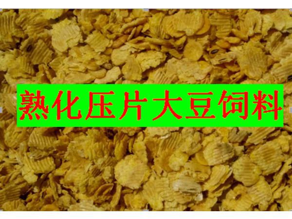 蒸汽熟化壓片大豆